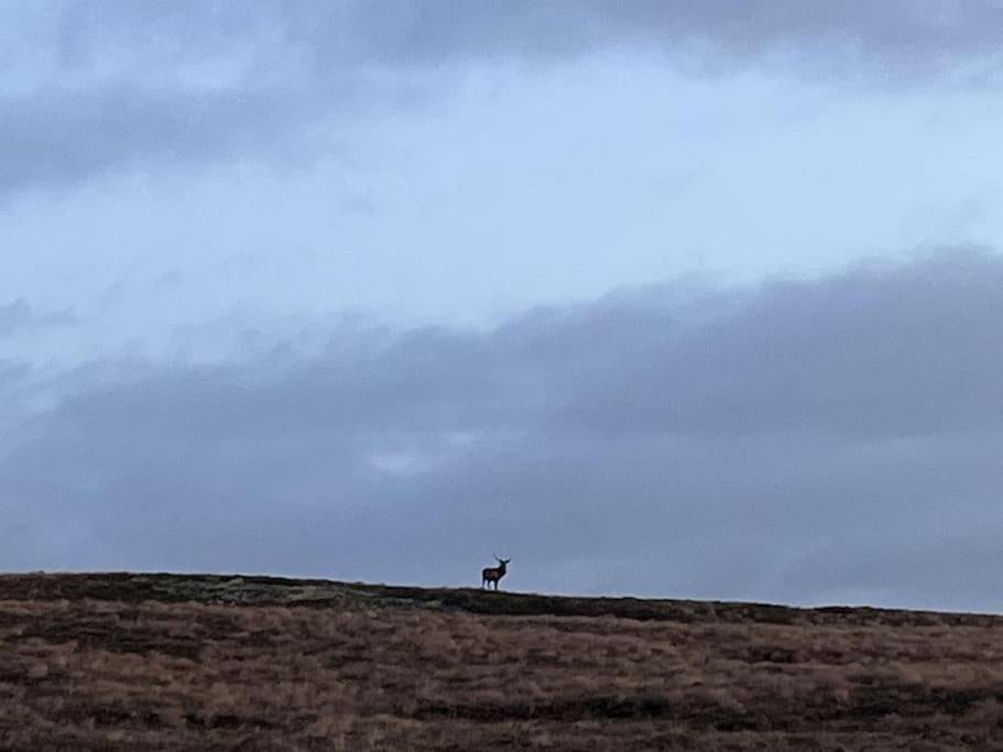 Locholly Lodge Achiltibuie Luaran gambar